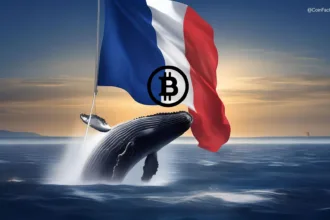 Crypto Whale's Influence on Markets